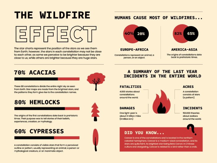 Número plano simple de infográficos de incendios forestales template