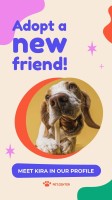 Pet Adoption Instagram Story Template