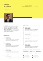 Professional Modern Barry Yellow High Sales Resume Template